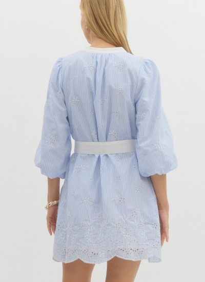Blue Striped Embroidery Detail Mini Dress