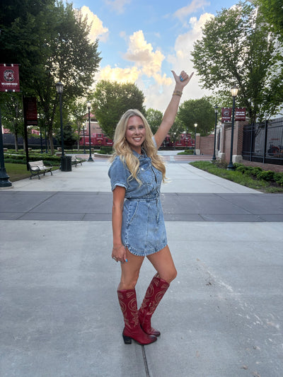 Topanga Denim Dress- Plot Twist