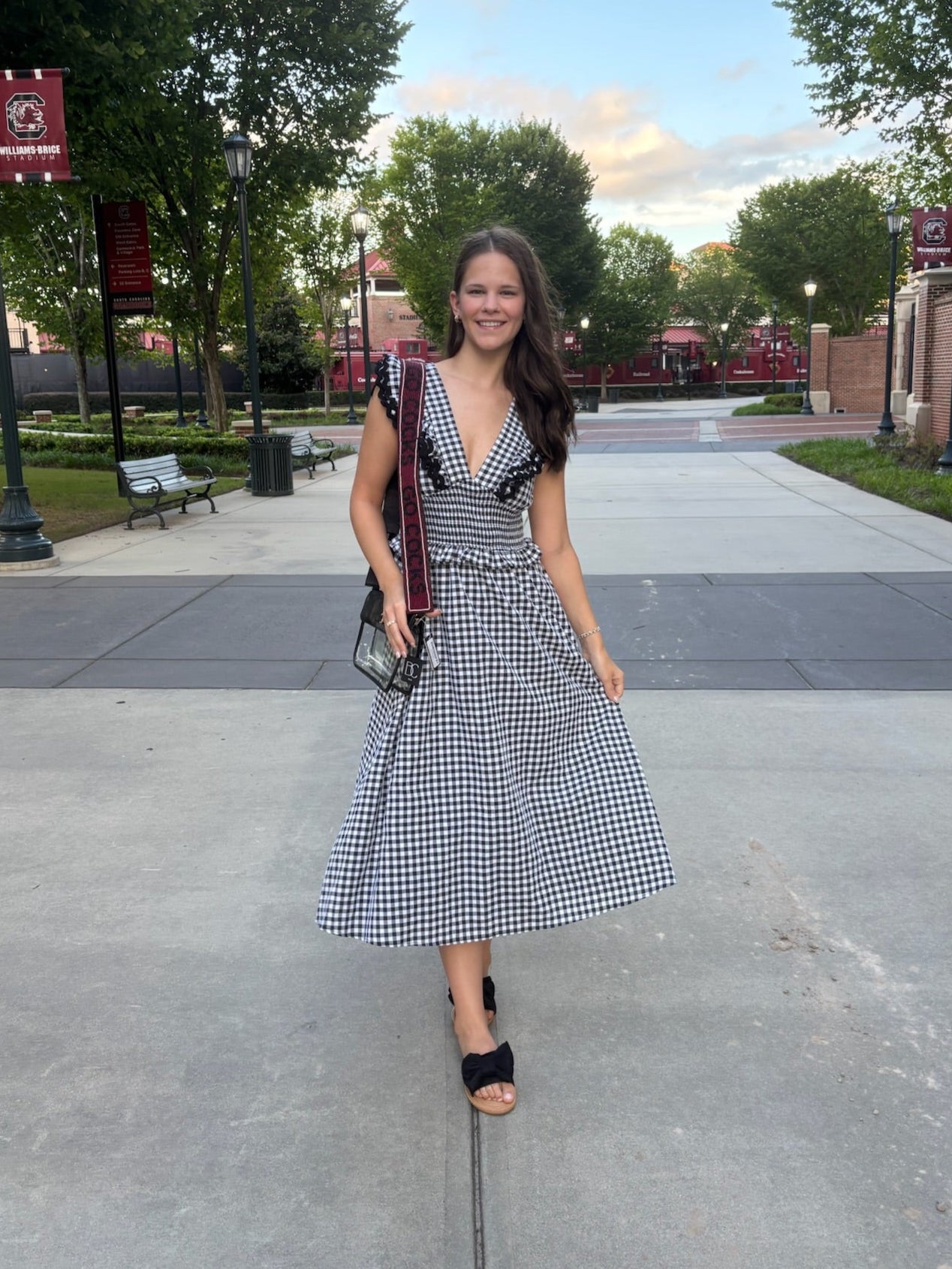 Gingham Ruffled V Neckline Midi Dress