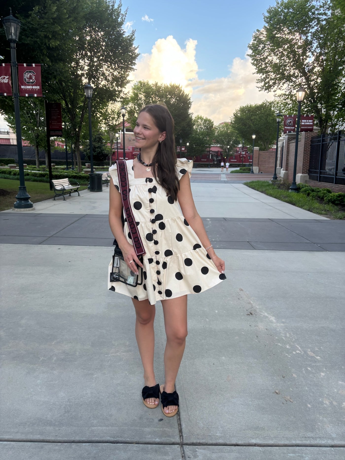 Polka Dot Print Button Down Dress