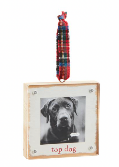 Wood and Acrylic Frame Ornament