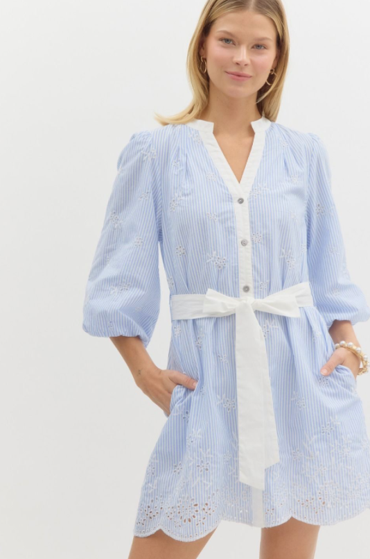 Blue Striped Embroidery Detail Mini Dress