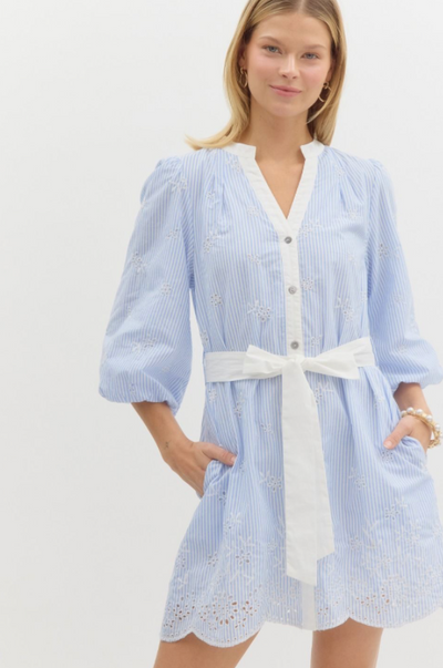 Blue Striped Embroidery Detail Mini Dress
