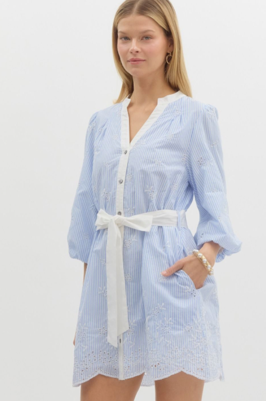 Blue Striped Embroidery Detail Mini Dress