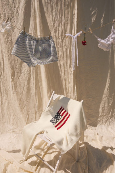 All American Flag Sweater