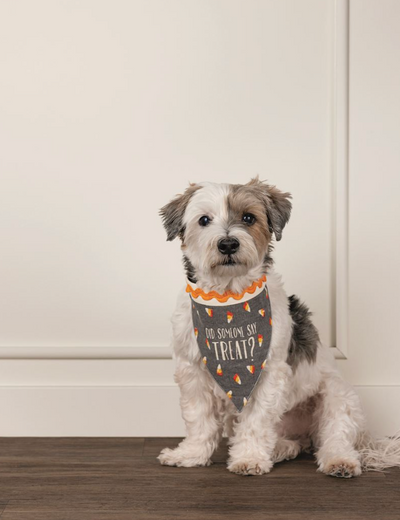 Multi Holiday Pet Bandana