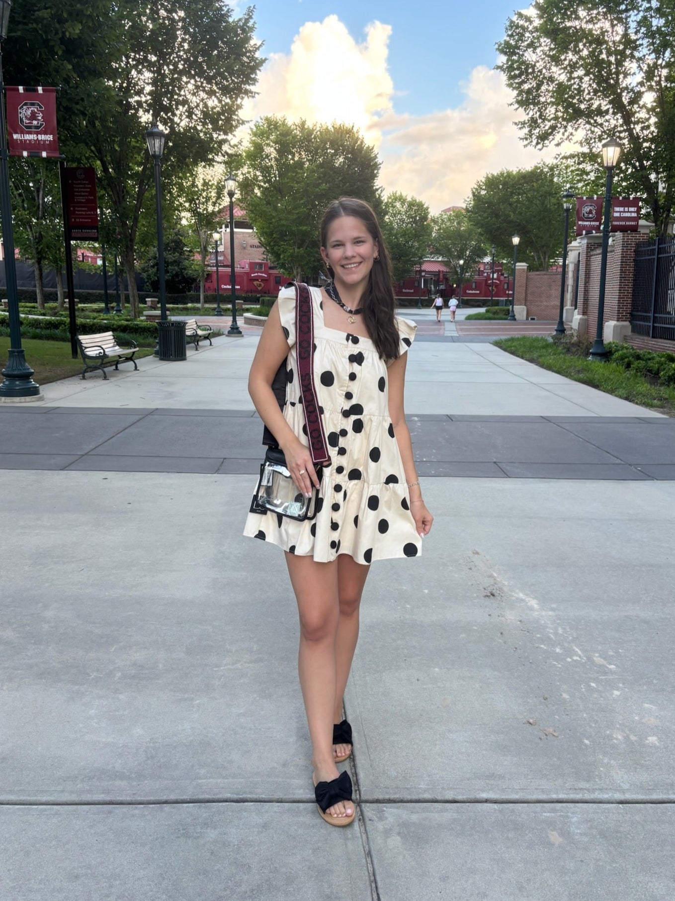 Polka Dot Print Button Down Dress