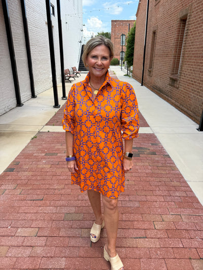 Ava Tigers Mini Dress