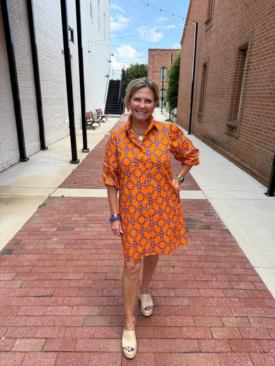 Ava Tigers Mini Dress