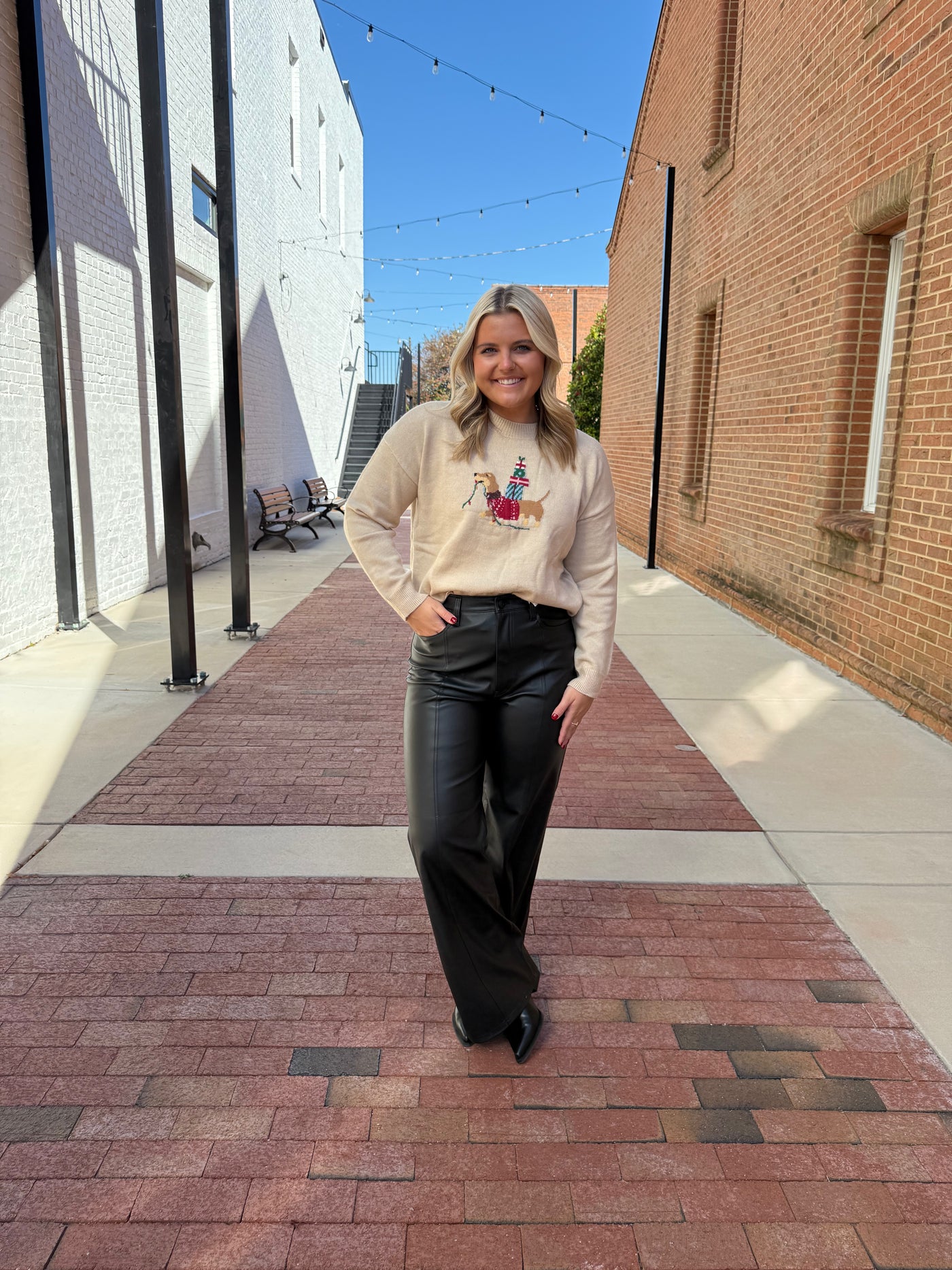 Taupe Dog Graphic Christmas Sweater