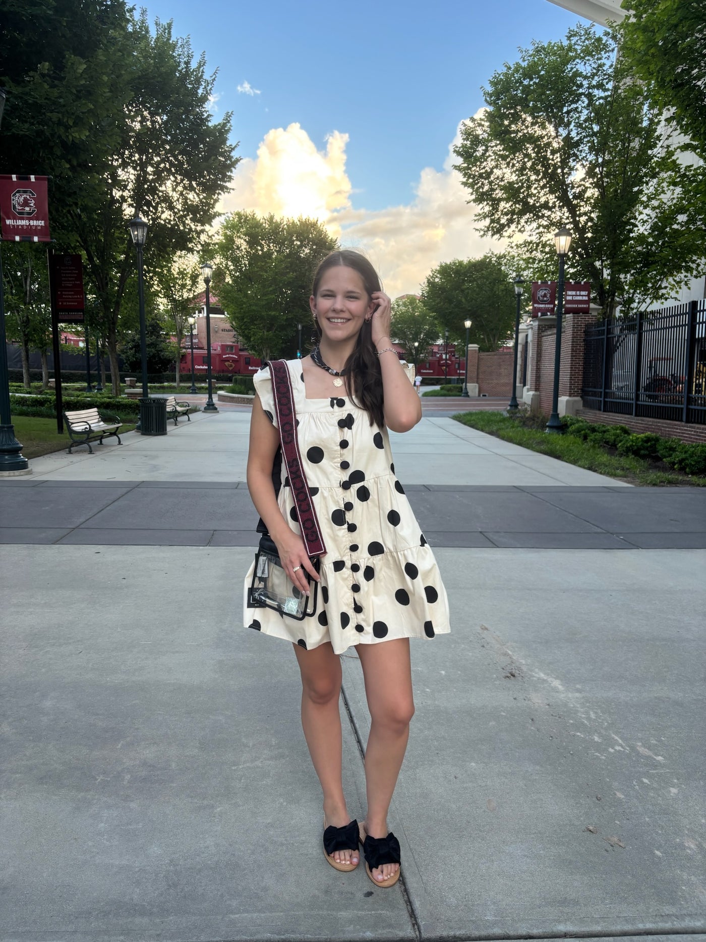 Polka Dot Print Button Down Dress