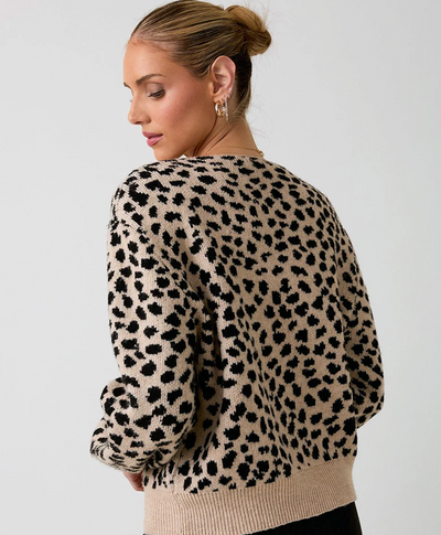 Front Tie Animal Print Cardigan Top