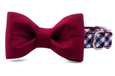 Crew LaLa Dog Collars