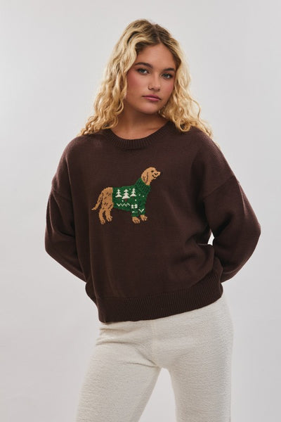 Brown Crew Neck Dog Sweater
