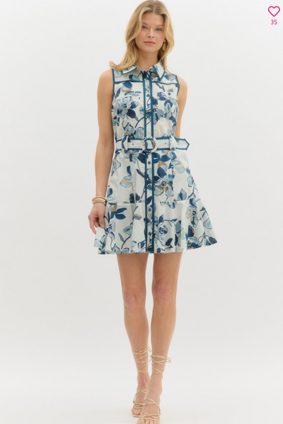 Blue and White Floral Mini Dress