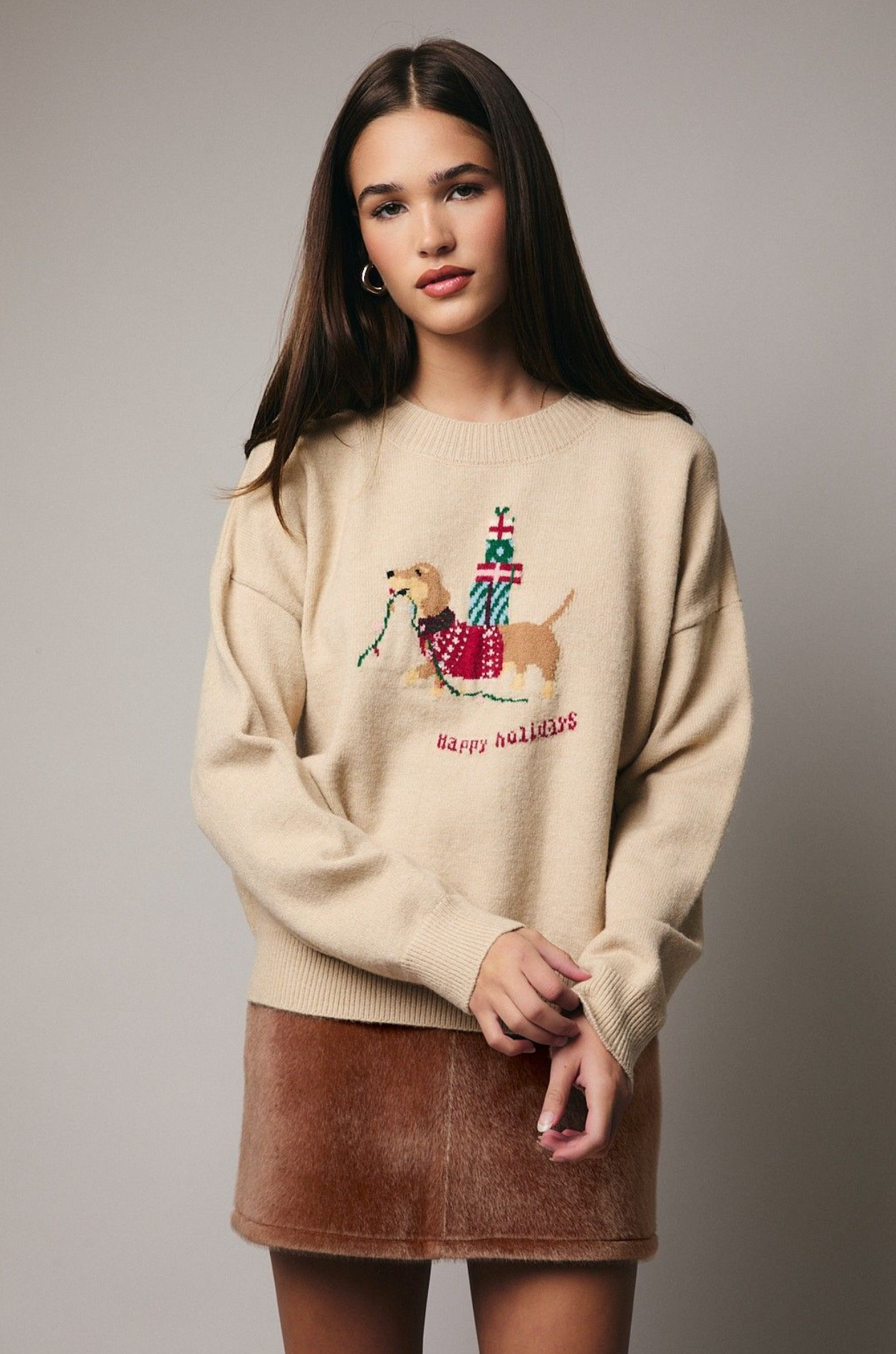 Taupe Dog Graphic Christmas Sweater