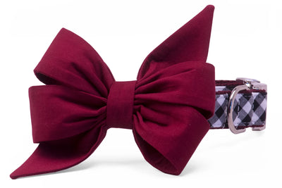Crew LaLa Dog Collars
