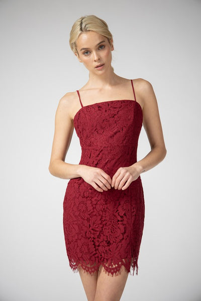 Garnet Lace Mini Dress